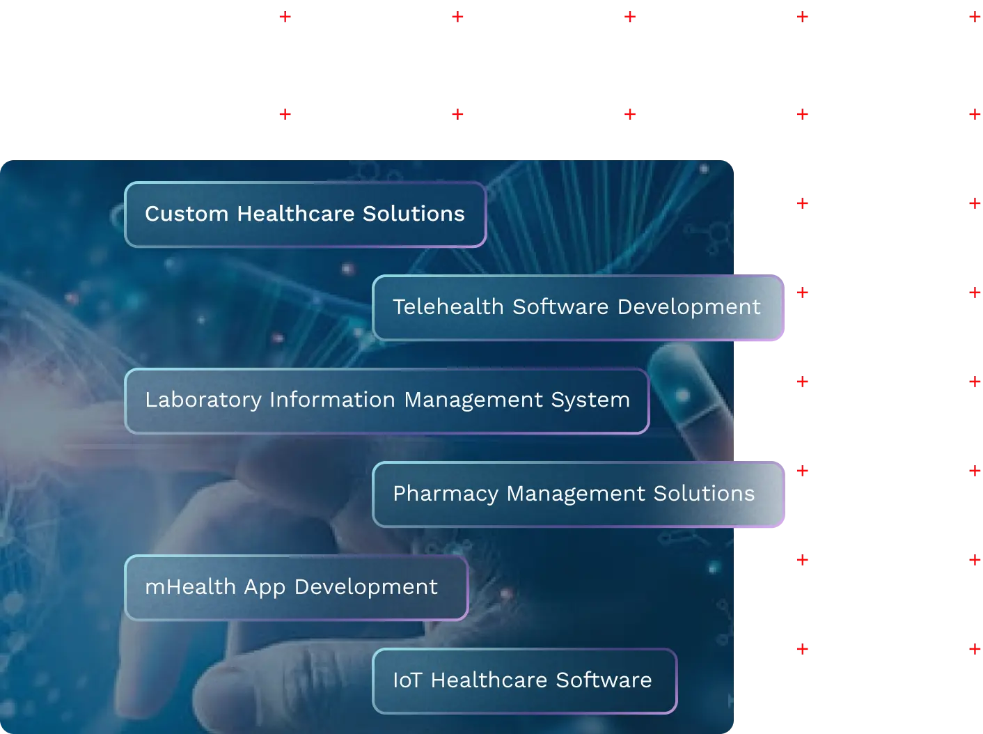 Custom Healthcare Solutions